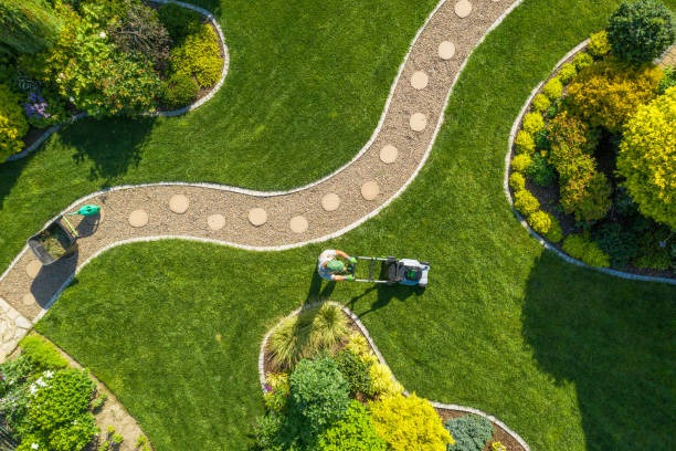 Understanding the ROI of Professional Landscaping for Home Value