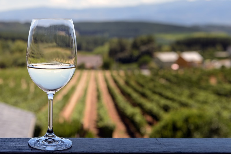What Should I Look for in a Wine Tour?